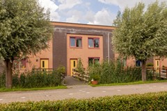 Vrouwenmantel 81  Schoonhoven 006.jpg